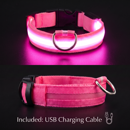 PupLux™ Ultra Glow Collar