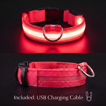 PupLux™ Ultra Glow Collar