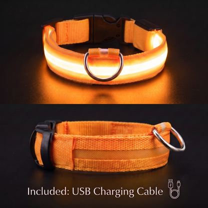 PupLux™ Ultra Glow Collar