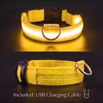 PupLux™ Ultra Glow Collar