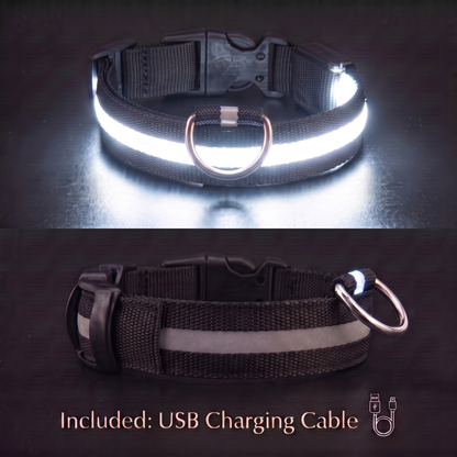 PupLux™ Ultra Glow Collar