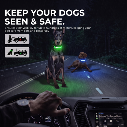 PupLux™ Ultra Glow Collar