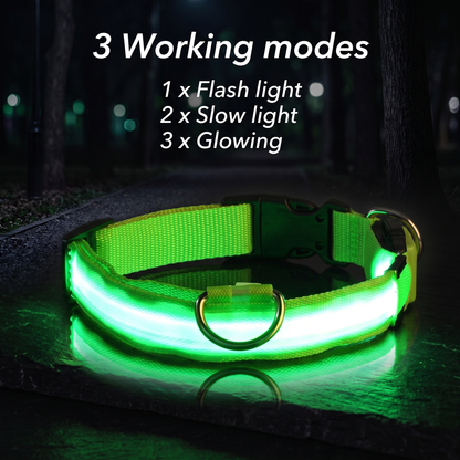 PupLux™ Ultra Glow Collar
