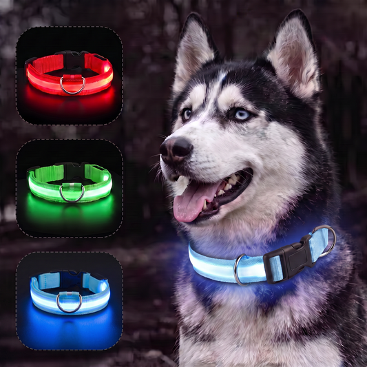 PupLux™ Ultra Glow Collar
