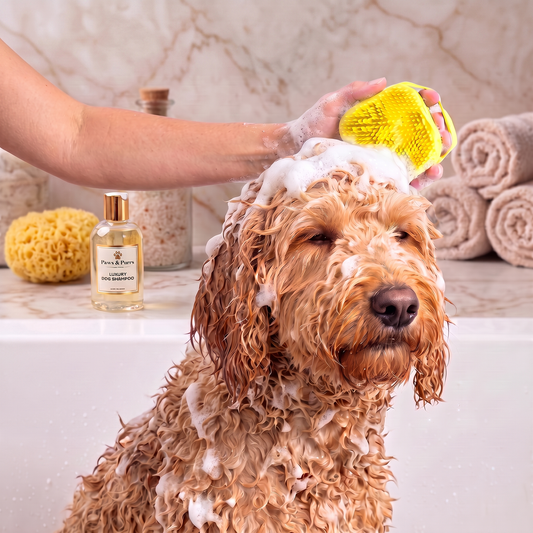 PupLux™ Foam-Ease Bath & Massage Brush